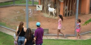 Recanto dos Animais