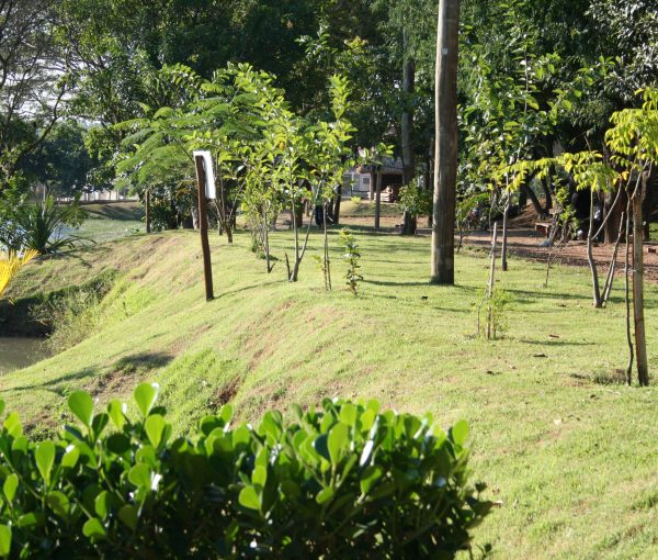 Ginástica Artística SBO  Santa Bárbara d'Oeste SP